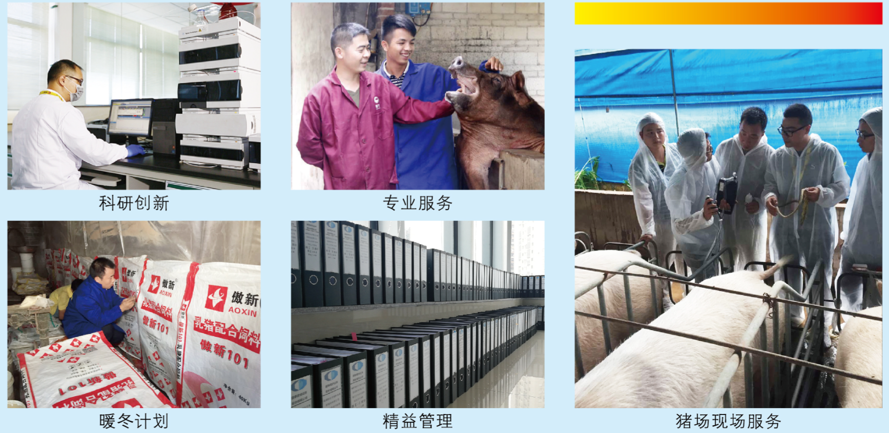 918搏天堂(中国区)官方网站