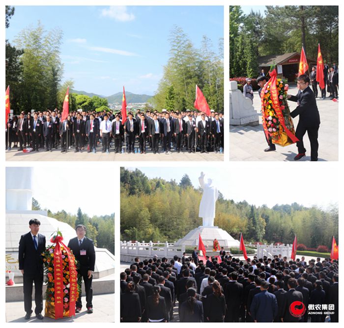 918搏天堂(中国区)官方网站