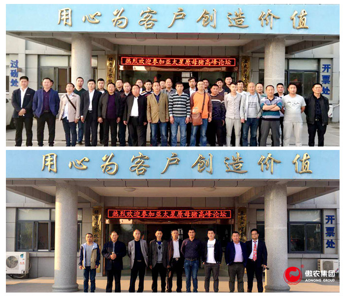 918搏天堂(中国区)官方网站