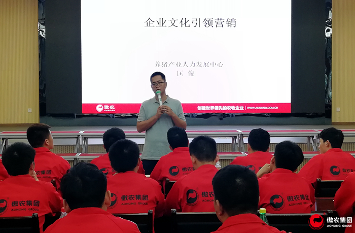 918搏天堂(中国区)官方网站
