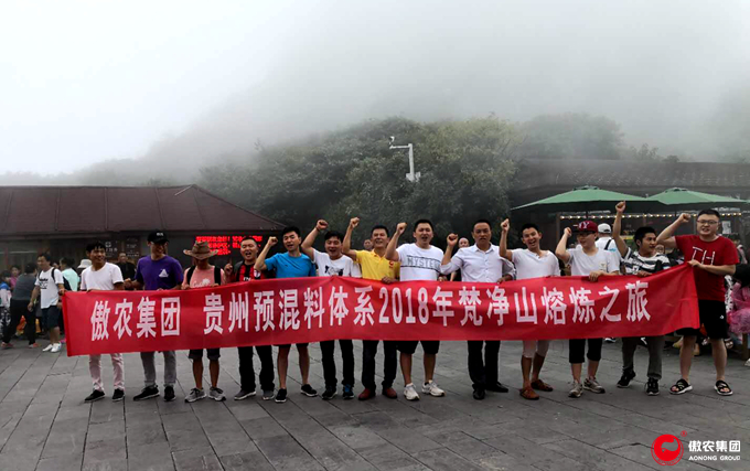 918搏天堂(中国区)官方网站