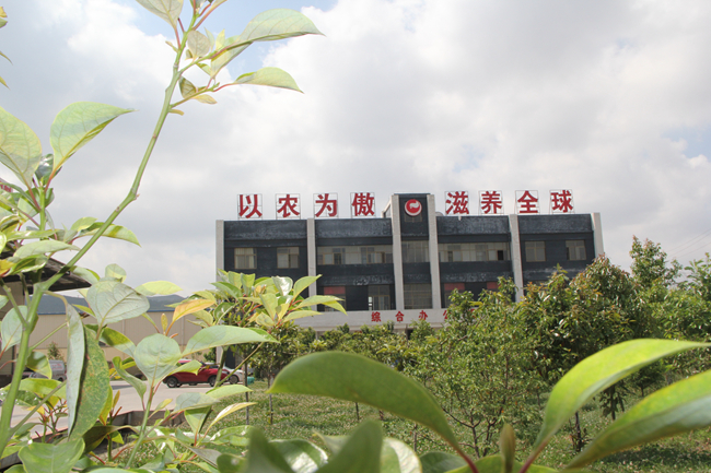 918搏天堂(中国区)官方网站
