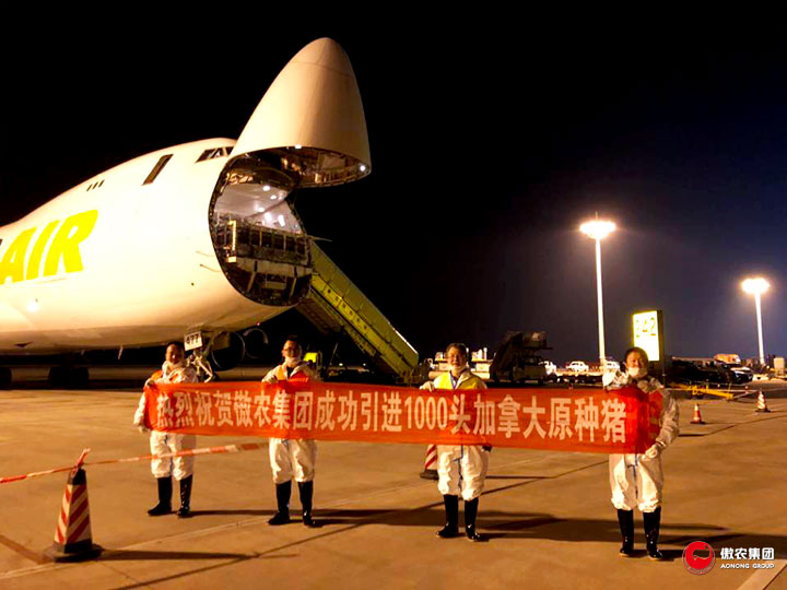 918搏天堂(中国区)官方网站