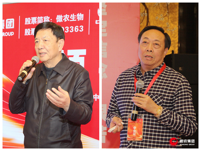 918搏天堂(中国区)官方网站