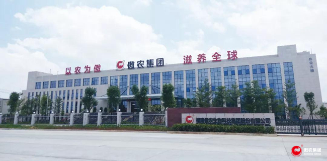 918搏天堂(中国区)官方网站