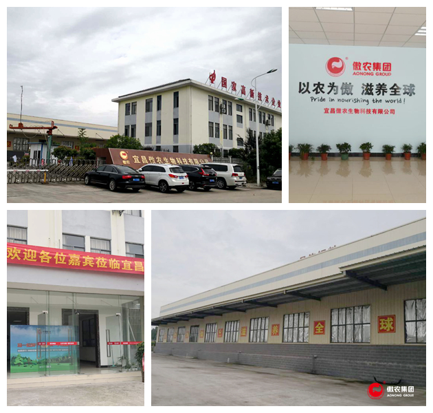 918搏天堂(中国区)官方网站