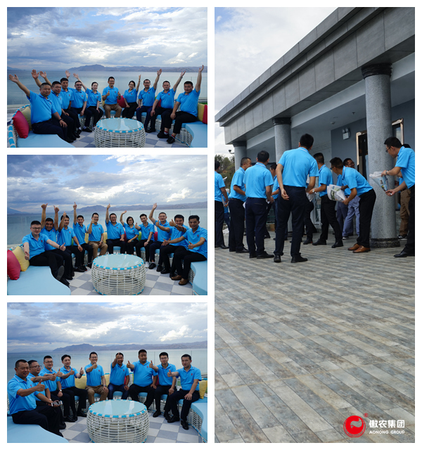 918搏天堂(中国区)官方网站