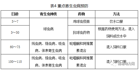 918搏天堂(中国区)官方网站