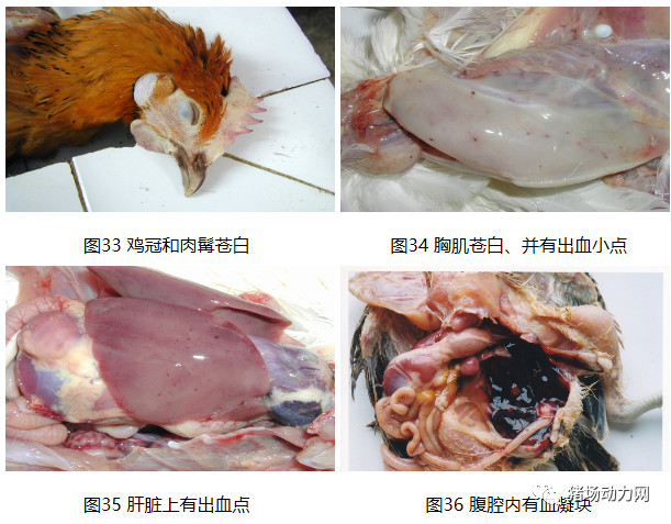 918搏天堂(中国区)官方网站