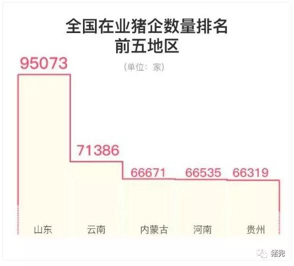 918搏天堂(中国区)官方网站