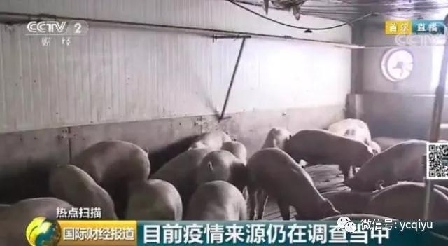 918搏天堂(中国区)官方网站