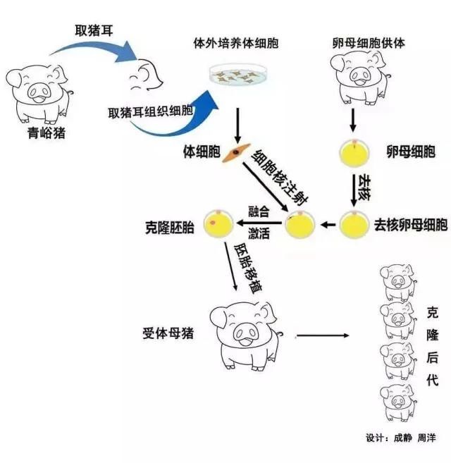 918搏天堂(中国区)官方网站