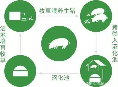 918搏天堂(中国区)官方网站