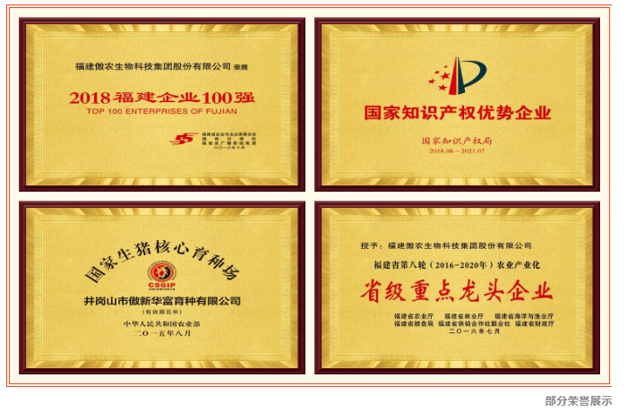918搏天堂(中国区)官方网站