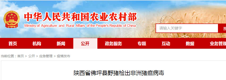 918搏天堂(中国区)官方网站