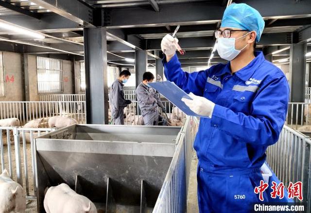 918搏天堂(中国区)官方网站