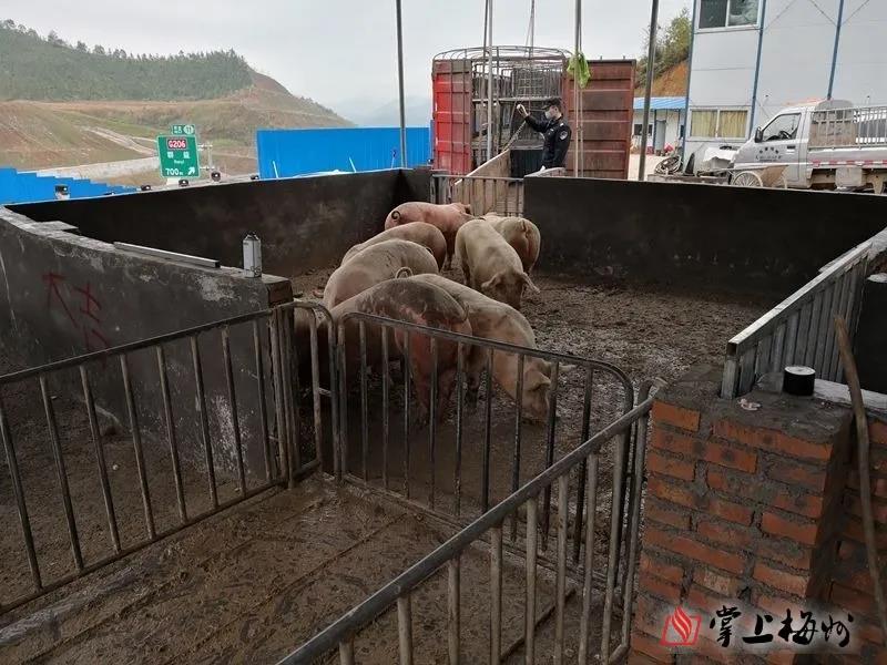 918搏天堂(中国区)官方网站