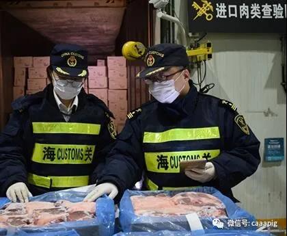 918搏天堂(中国区)官方网站