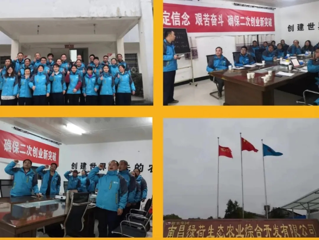 918搏天堂(中国区)官方网站