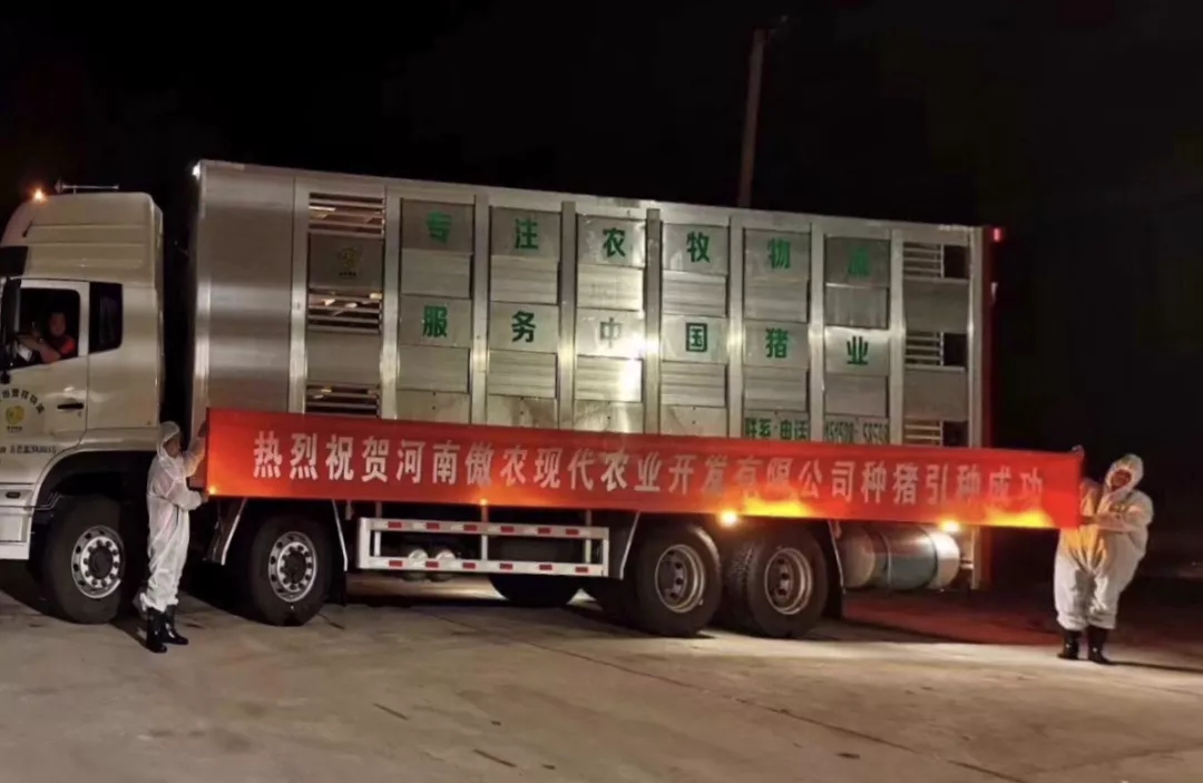 918搏天堂(中国区)官方网站