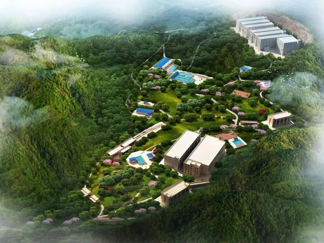 918搏天堂(中国区)官方网站