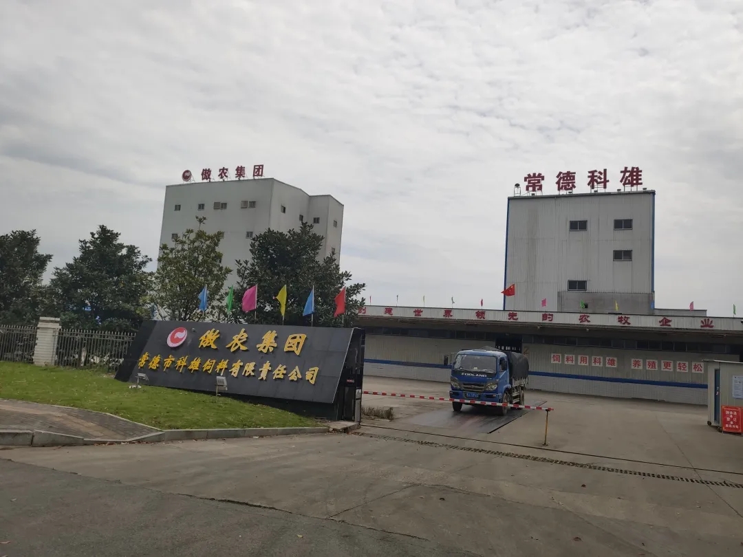 918搏天堂(中国区)官方网站