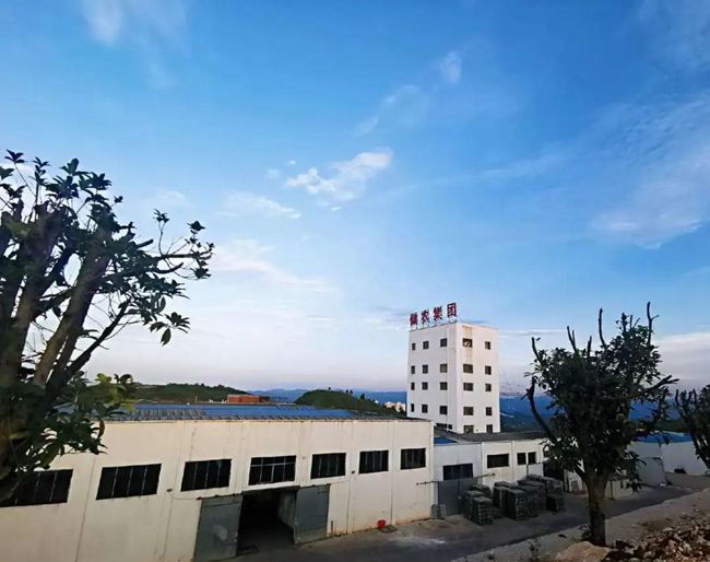 918搏天堂(中国区)官方网站