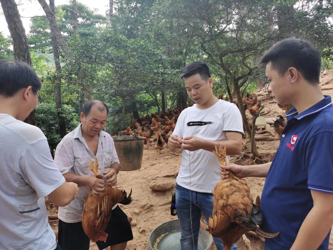 918搏天堂(中国区)官方网站