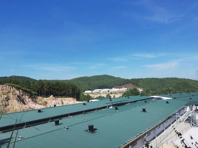 918搏天堂(中国区)官方网站