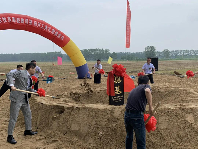 918搏天堂(中国区)官方网站
