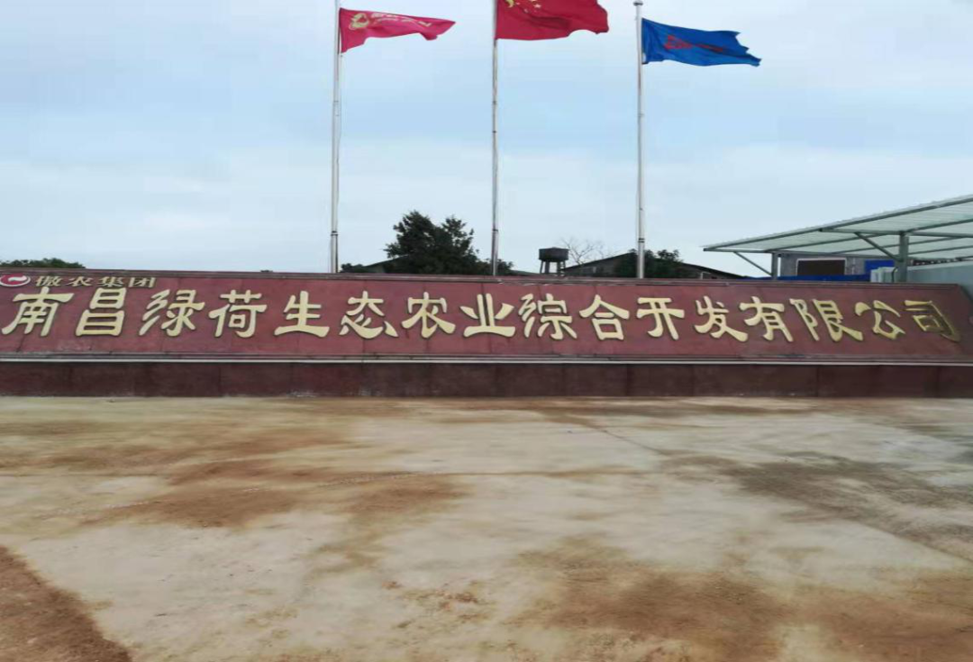 918搏天堂(中国区)官方网站