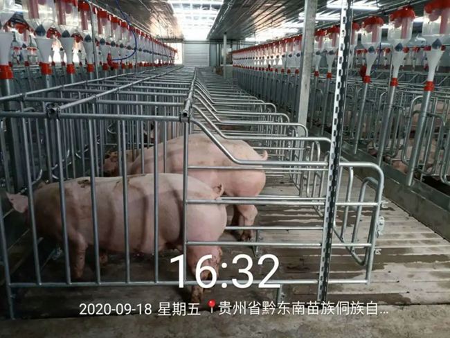 918搏天堂(中国区)官方网站