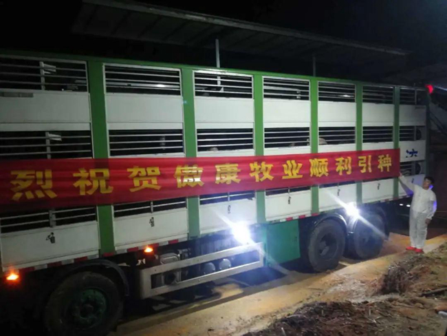 918搏天堂(中国区)官方网站