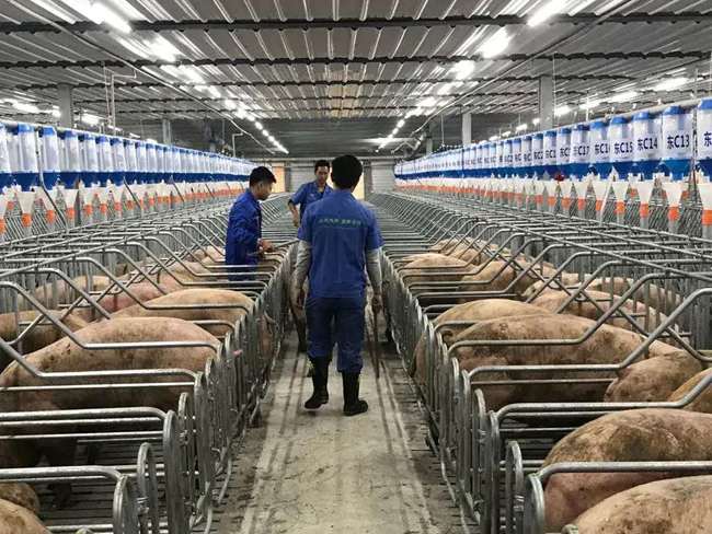 918搏天堂(中国区)官方网站