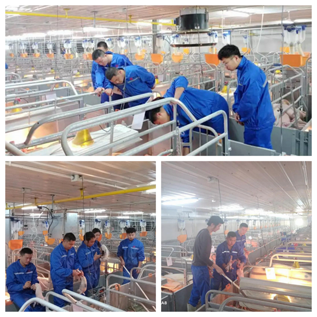 918搏天堂(中国区)官方网站