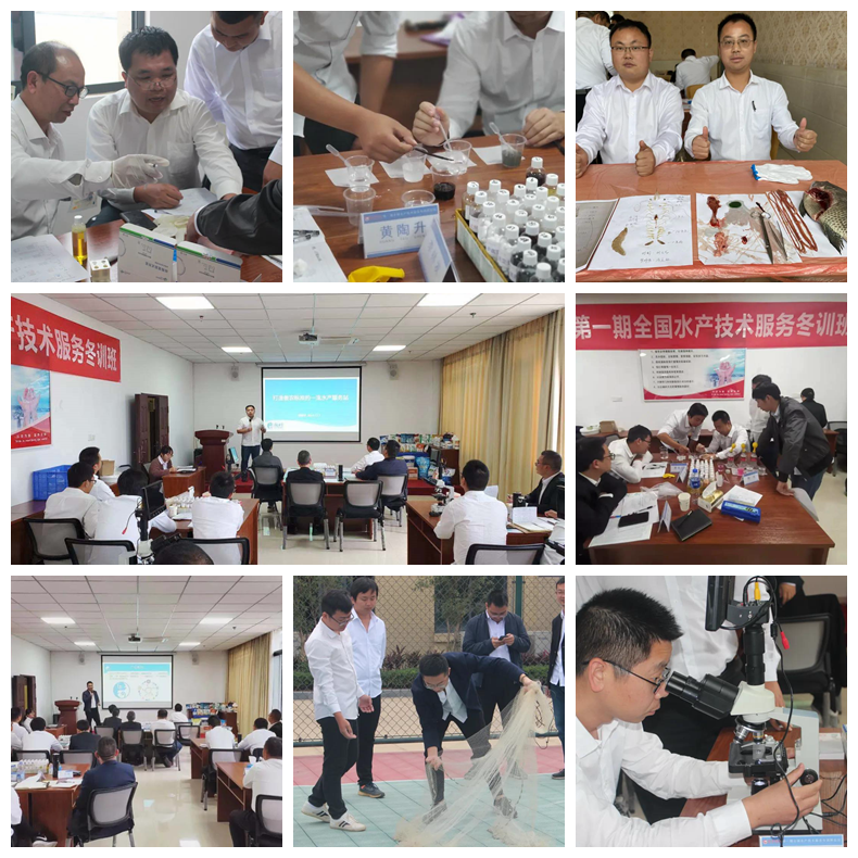 918搏天堂(中国区)官方网站