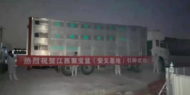 918搏天堂(中国区)官方网站