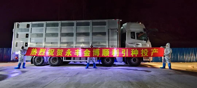 918搏天堂(中国区)官方网站