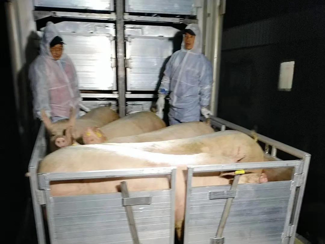 918搏天堂(中国区)官方网站