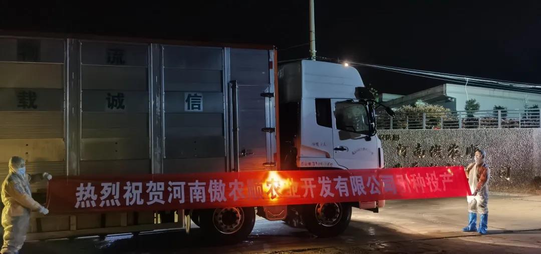 918搏天堂(中国区)官方网站