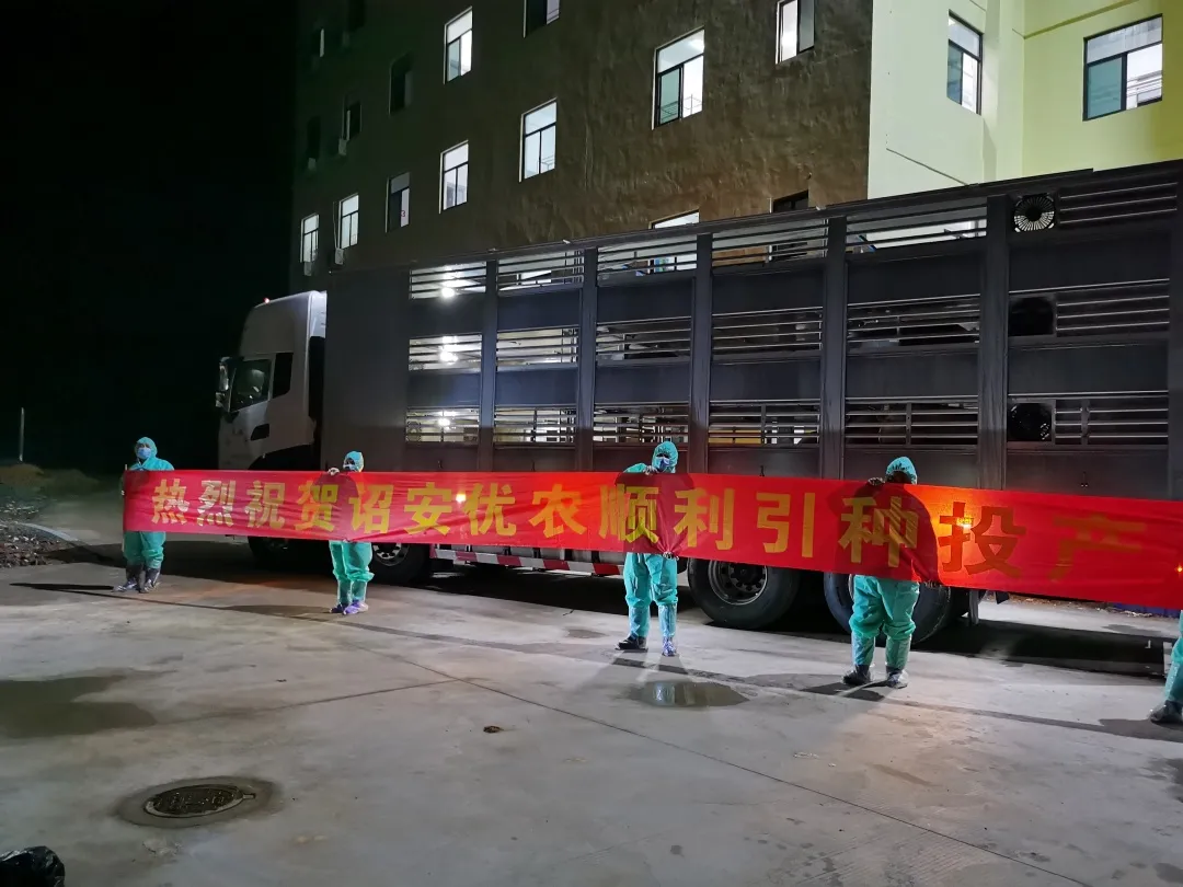 918搏天堂(中国区)官方网站