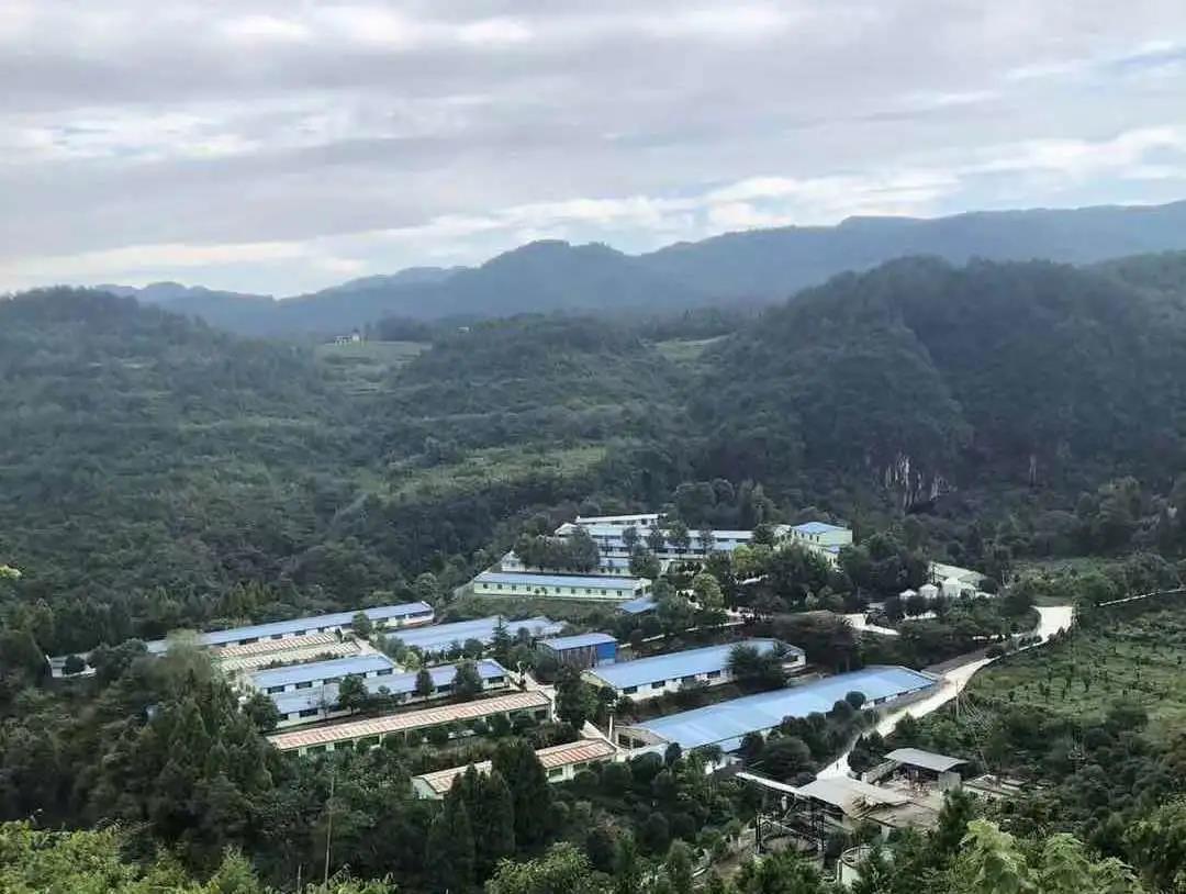 918搏天堂(中国区)官方网站