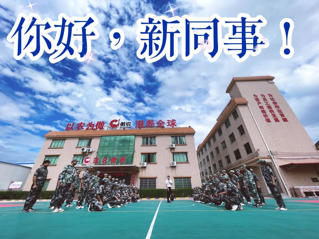 918搏天堂(中国区)官方网站