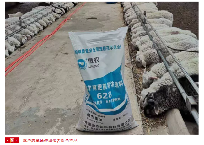 918搏天堂(中国区)官方网站