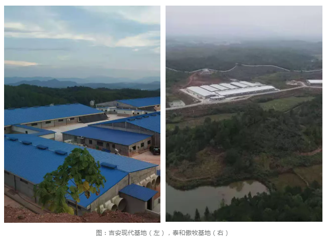 918搏天堂(中国区)官方网站