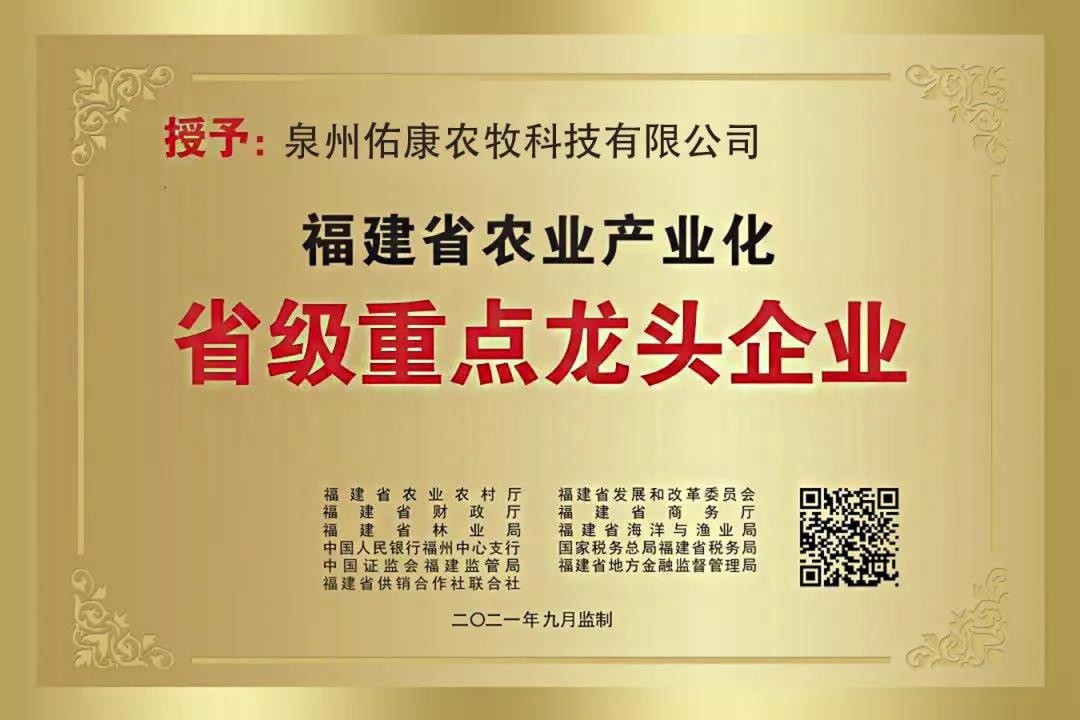 918搏天堂(中国区)官方网站
