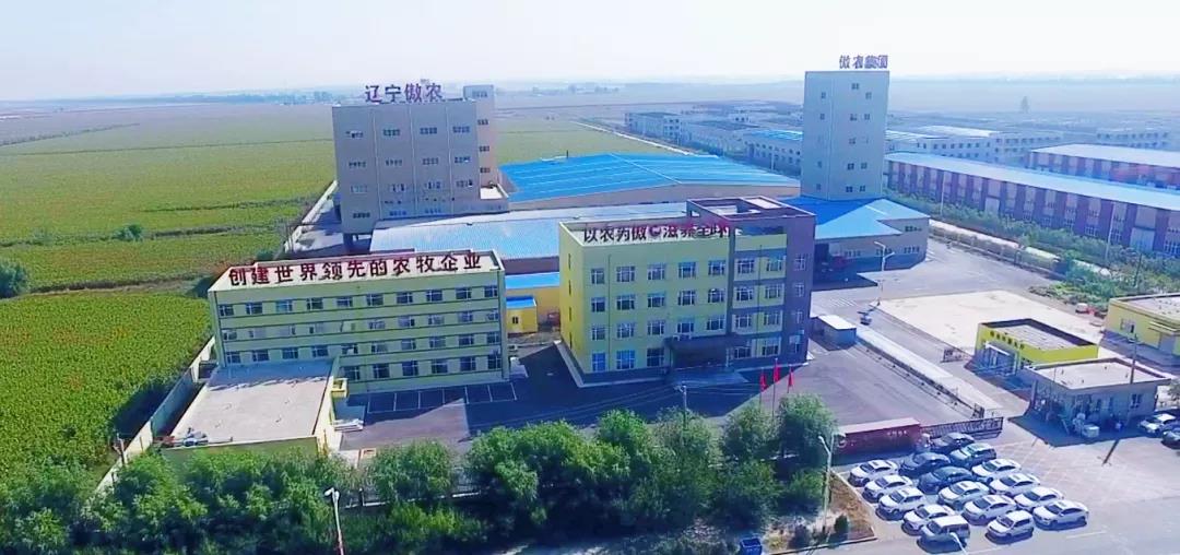 918搏天堂(中国区)官方网站