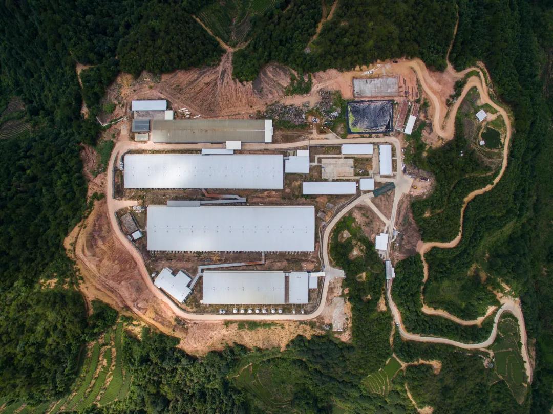 918搏天堂(中国区)官方网站