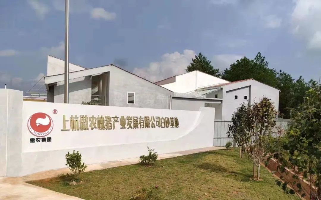 918搏天堂(中国区)官方网站