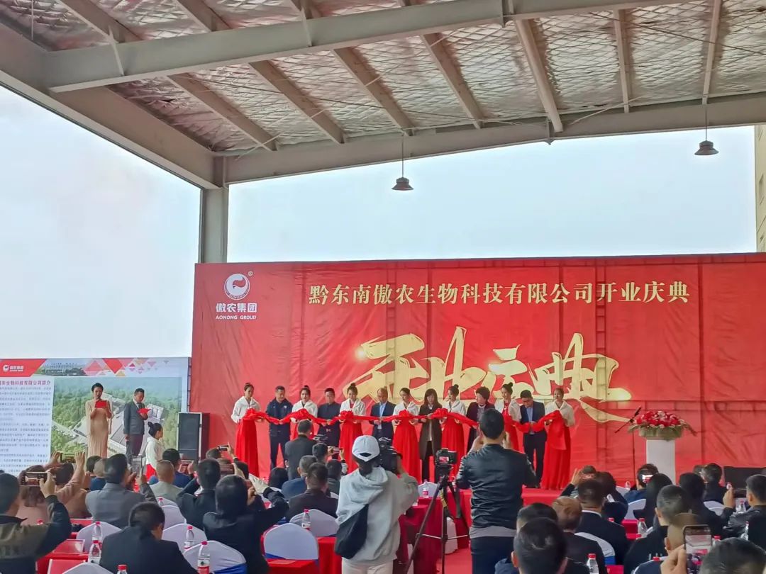 918搏天堂(中国区)官方网站